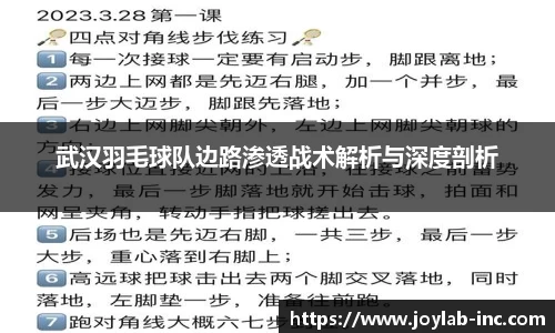 武汉羽毛球队边路渗透战术解析与深度剖析