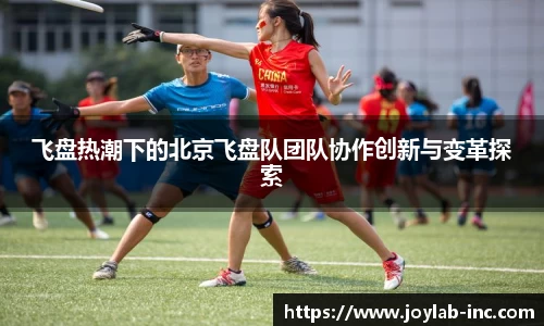 飞盘热潮下的北京飞盘队团队协作创新与变革探索
